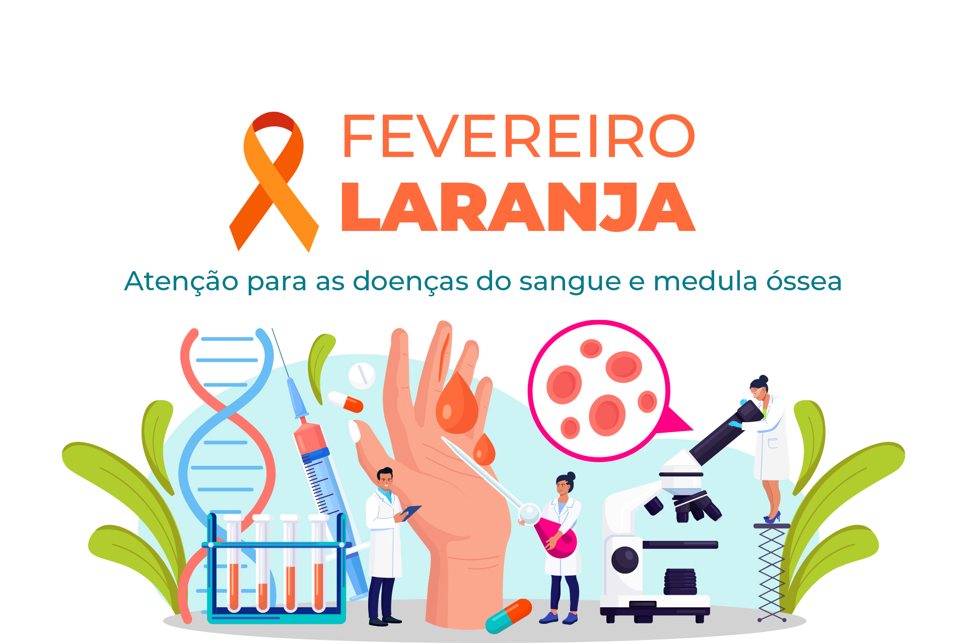 Fevereiro Laranja!